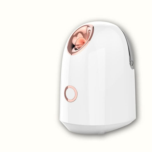 Appareil de Brumisation Faciale à Vapeur
