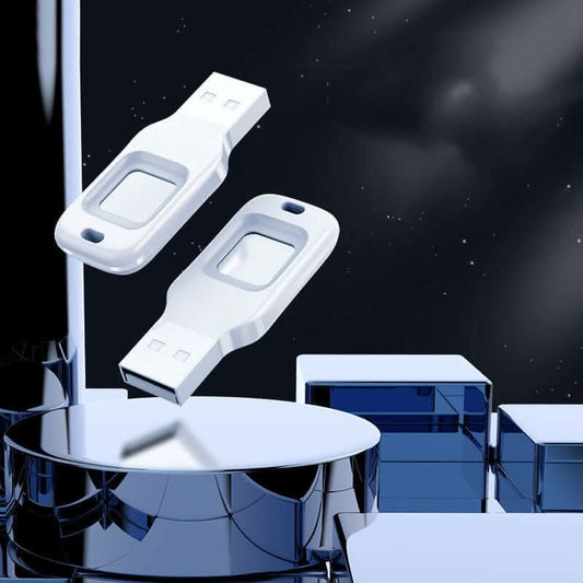 Clé USB biométrique