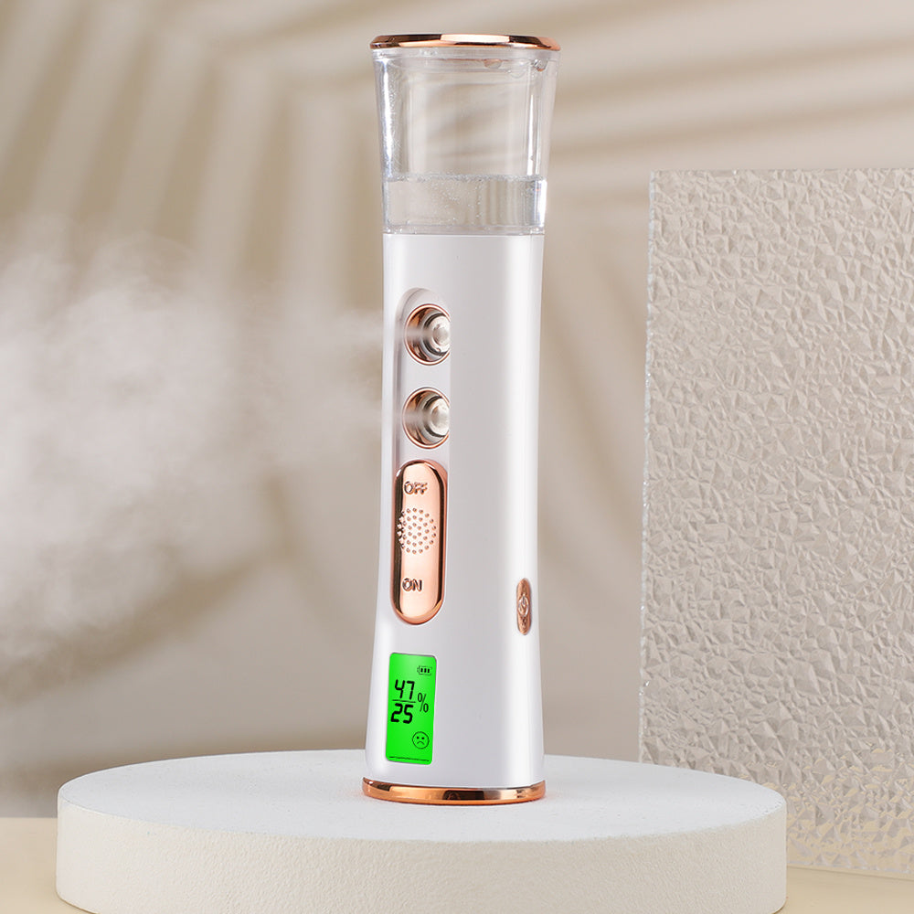 Humidificateur Facial à Ions Négatifs
