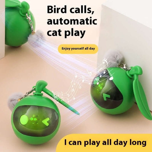 Jouet élastique interactif pour chat