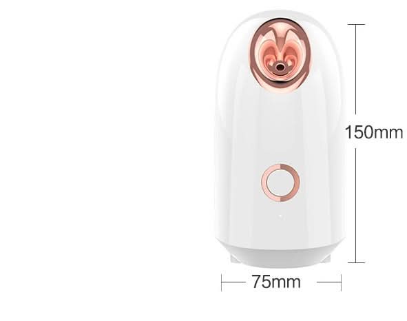 Appareil de Brumisation Faciale à Vapeur