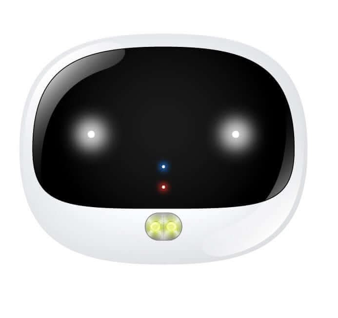 Collier GPS pour chien