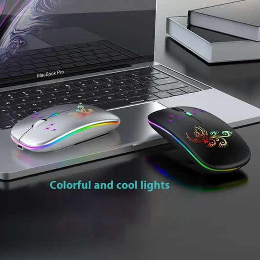Souris Lumineuse Rechargeable