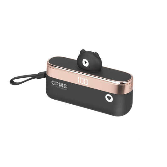 Batterie externe 22,5W