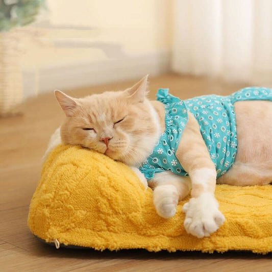 Nid pour Chat en Forme de Fromage