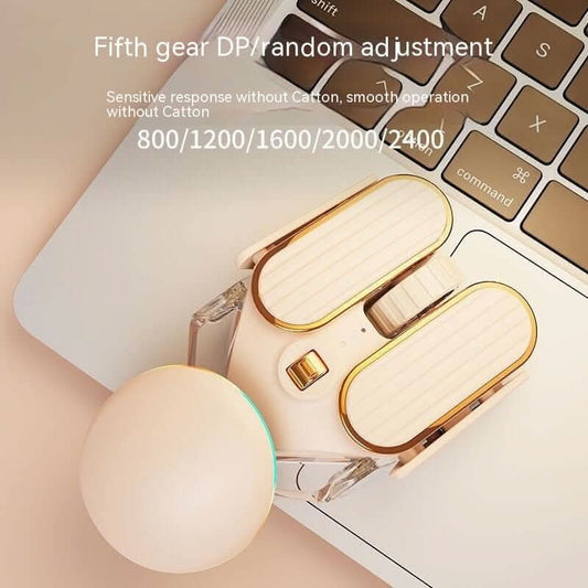 Souris Sans Fil Bluetooth Double Mode