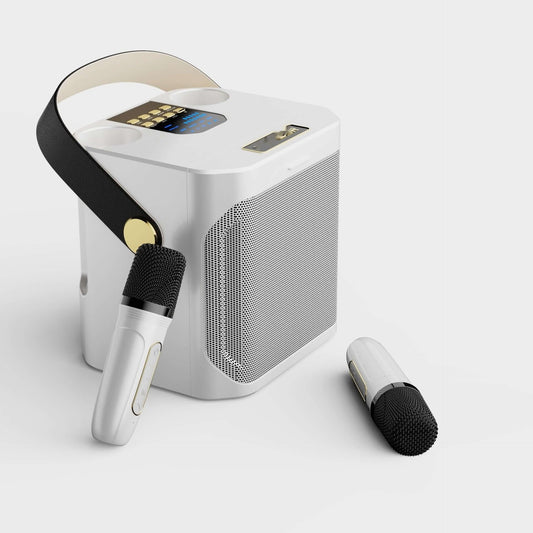 Outdoor Karaoke Bluetooth Speaker, Dual Microphone, All-in-one
