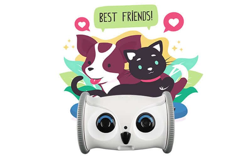 Jouet Électrique pour Chien en Forme de Hibou