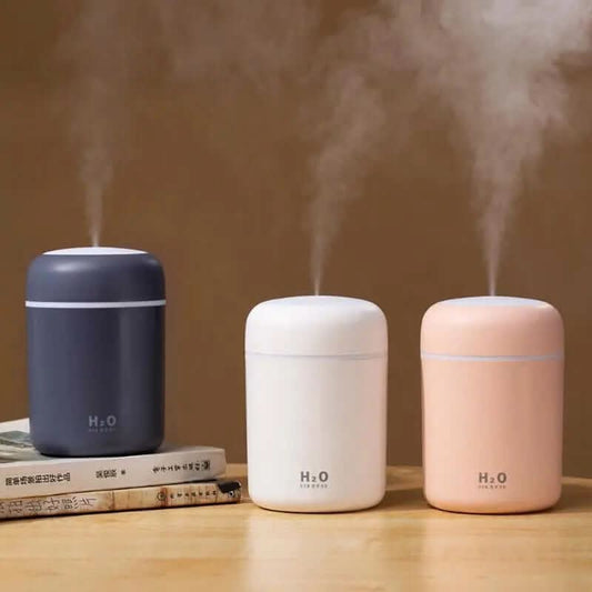 Mini humidificateur USB silencieux Les Visionnaires