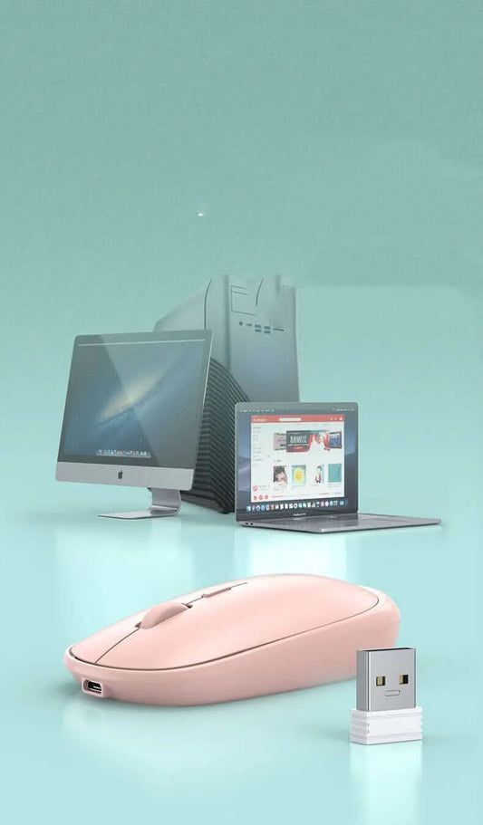 Souris rechargeable pour ordinateur portable Les Visionnaires