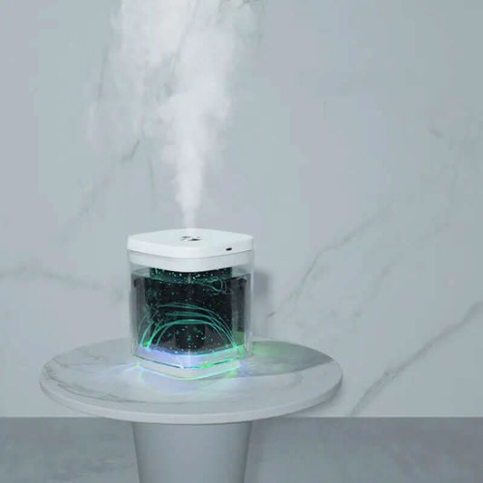 Nouveau Humidificateur à Projection Les Visionnaires