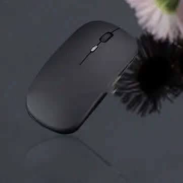 Souris sans fil Bluetooth à double mode Les Visionnaires