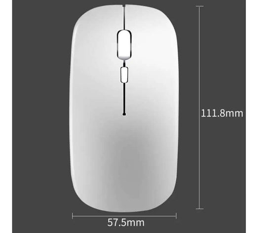 souris sans fil double mode Les Visionnaires