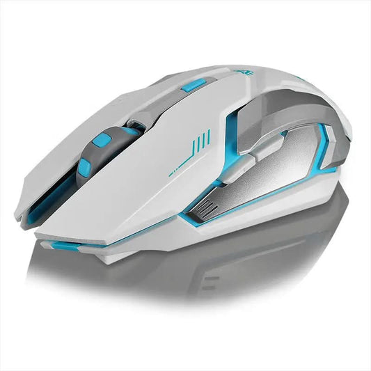 Souris sans fil rechargeable pour ordinateur Les Visionnaires