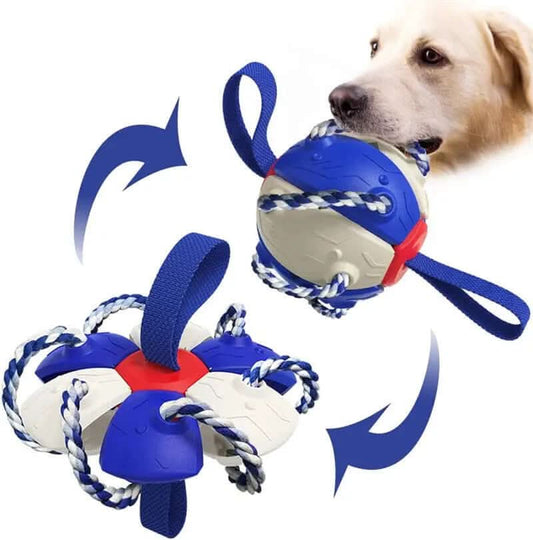 Ballon de Football pour Chien, jouet animaux de compagnies Les Visionnaires