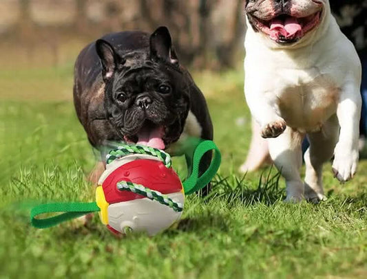 Ballon de Football pour Chien, jouet animaux de compagnies Les Visionnaires