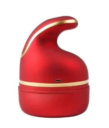 Masseur électrique Les Visionnaires