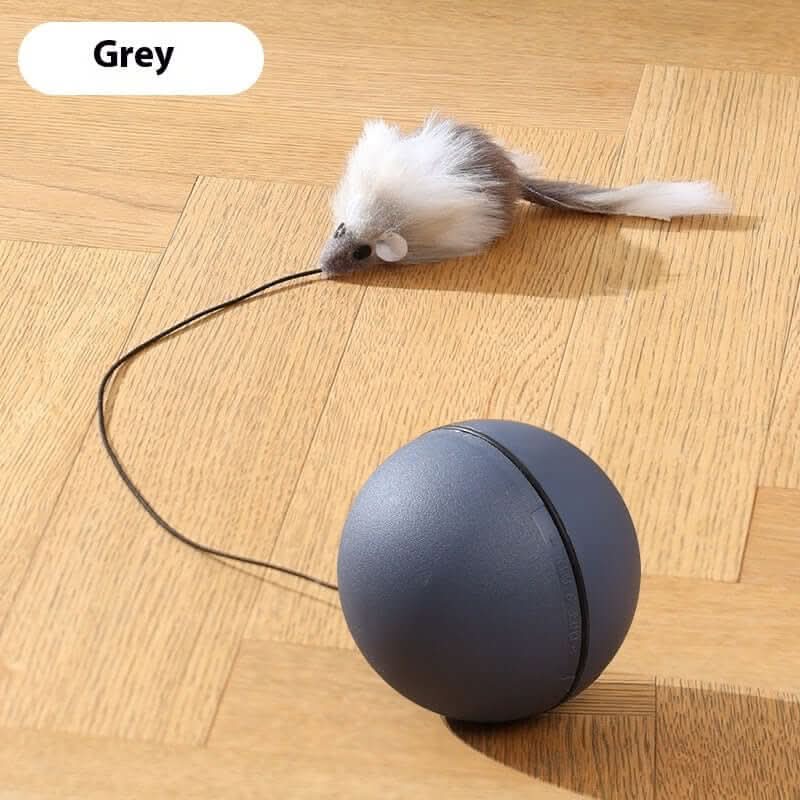 Jouets pour chat, balle taquine en forme de souris Les Visionnaires