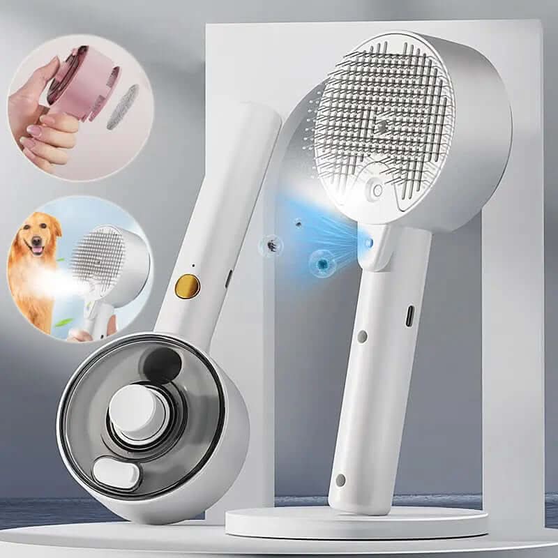 Animal Hair Remover Brush Les Visionnaires