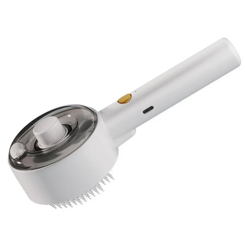 Animal Hair Remover Brush Les Visionnaires