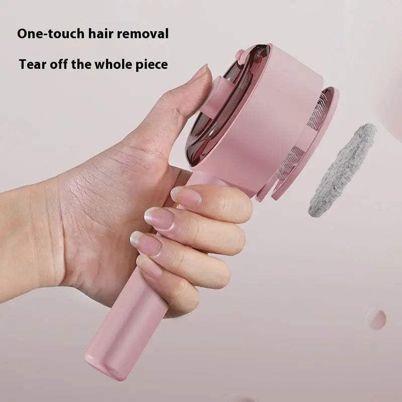 Animal Hair Remover Brush Les Visionnaires