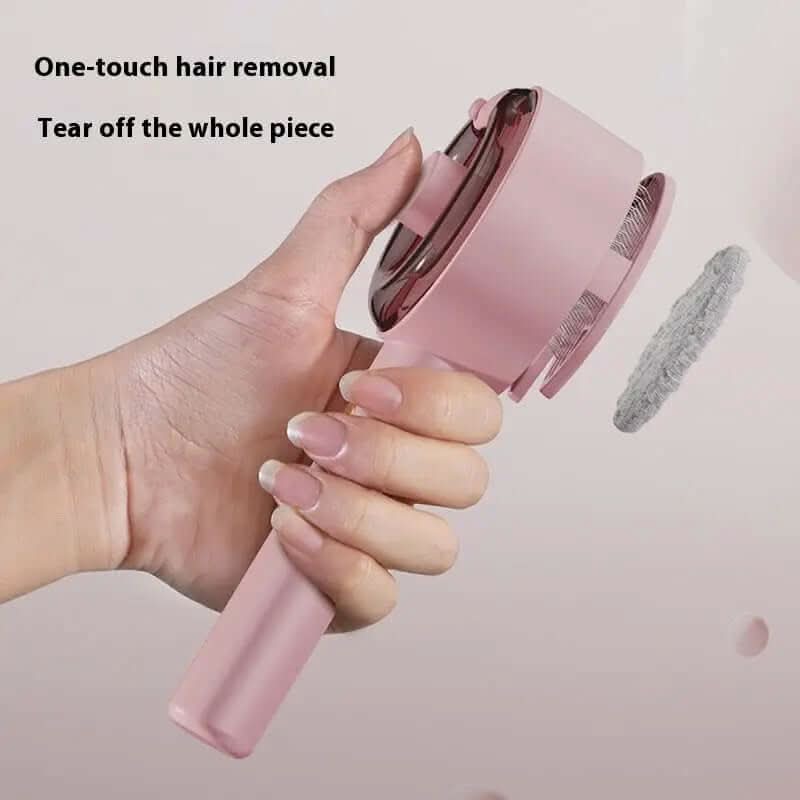 Animal Hair Remover Brush Les Visionnaires