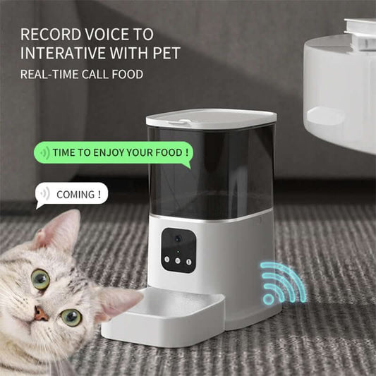 Distributeur Automatique de Nourriture pour Animaux Les Visionnaires