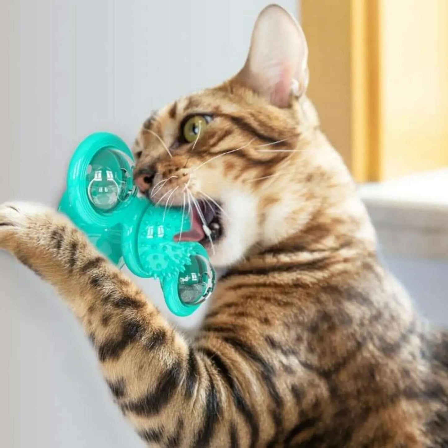 Jouet interactif pour Chat, moulin à vent Les Visionnaires