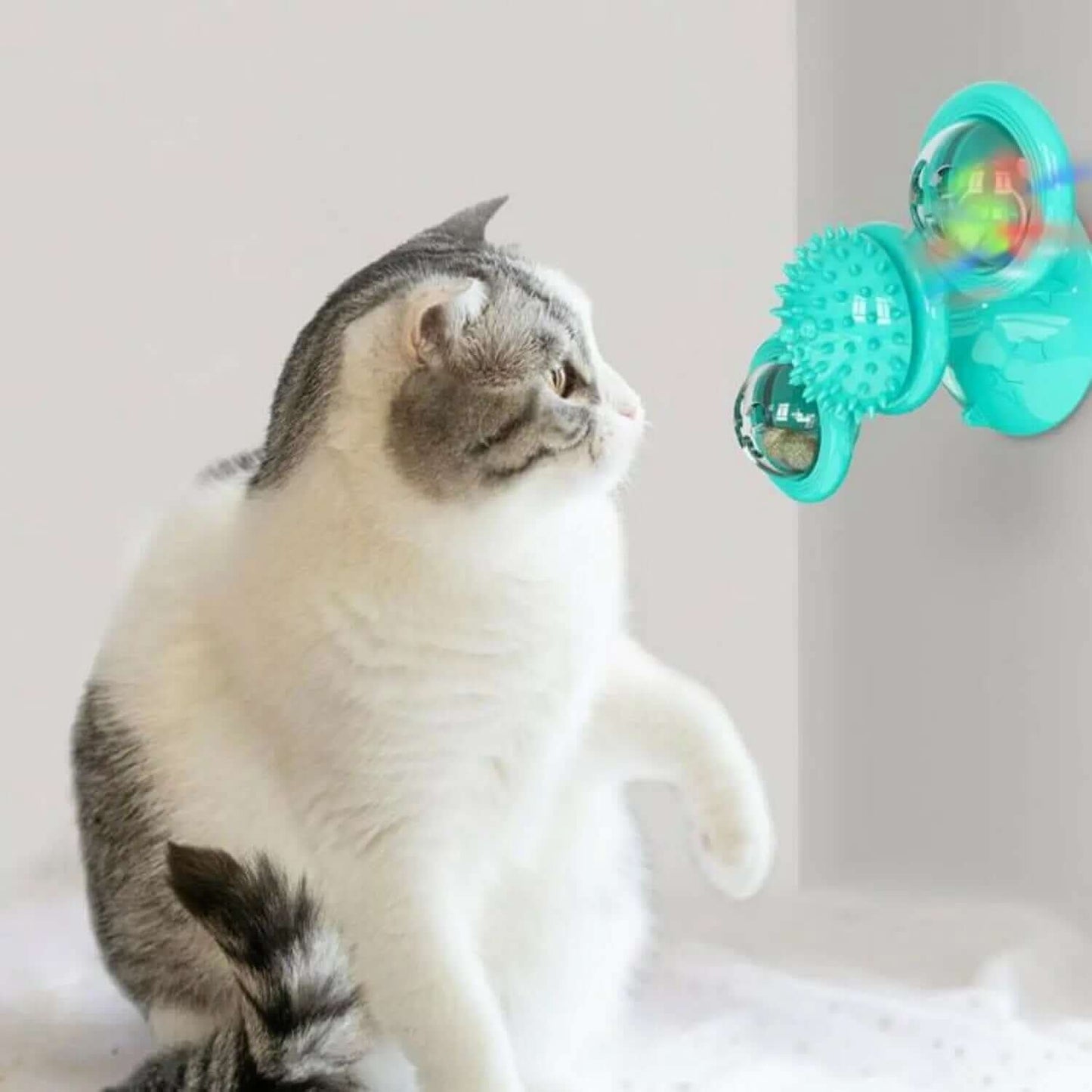 Jouet interactif pour Chat, moulin à vent Les Visionnaires