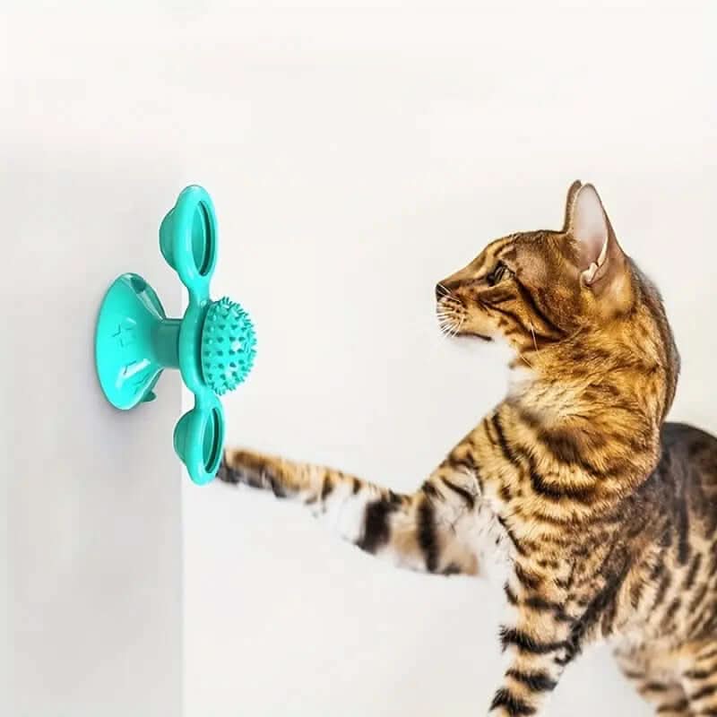 Jouet interactif pour Chat, moulin à vent Les Visionnaires