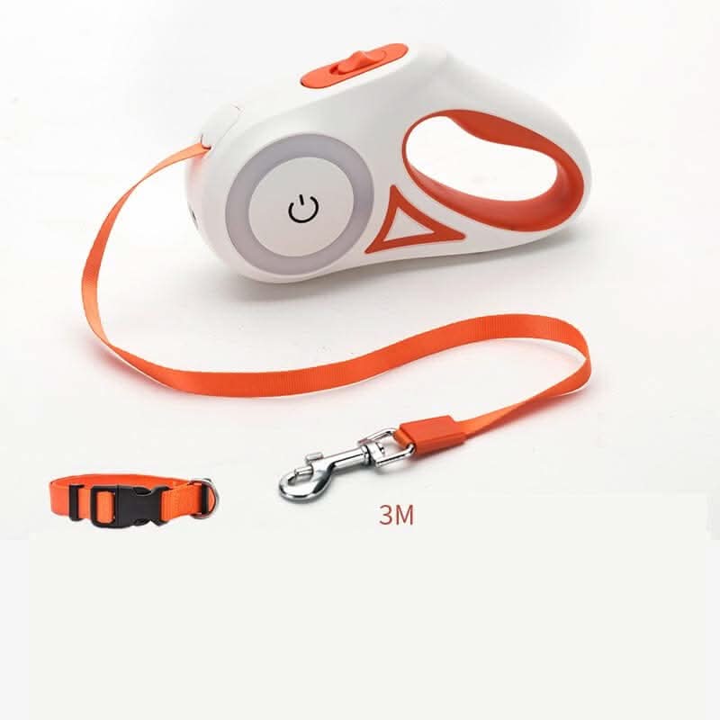 Laisse rétractable avec collier et projecteur automatique Les Visionnaires