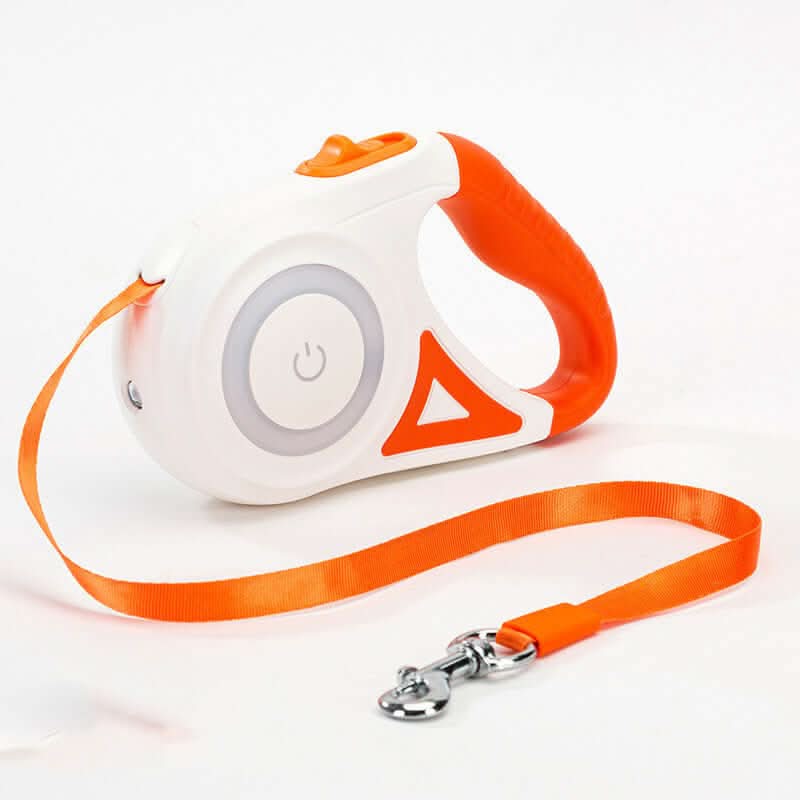 Laisse rétractable avec collier et projecteur automatique Les Visionnaires