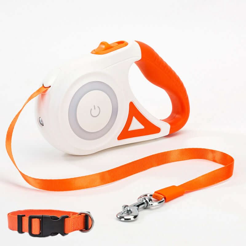 Laisse rétractable avec collier et projecteur automatique Les Visionnaires