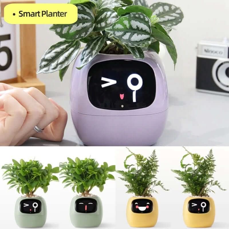 Pot de fleurs intelligent Les Visionnaires