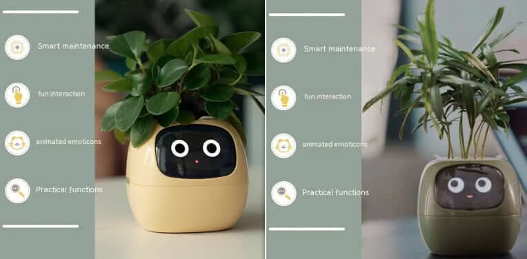 Pot de fleurs intelligent Les Visionnaires