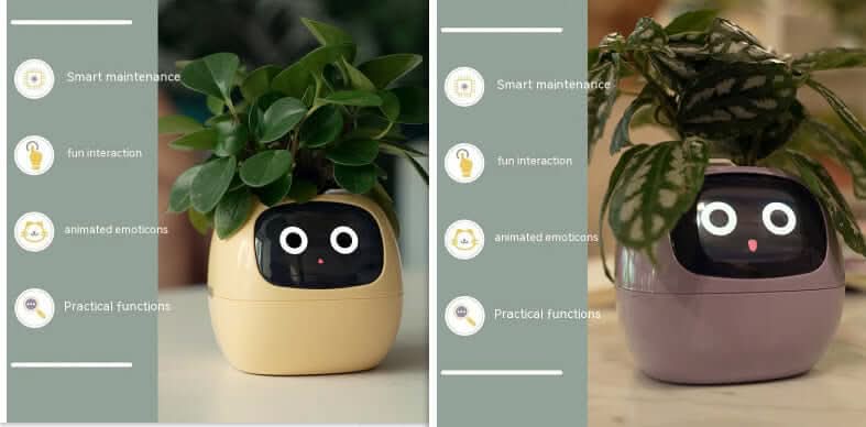 Pot de fleurs intelligent Les Visionnaires
