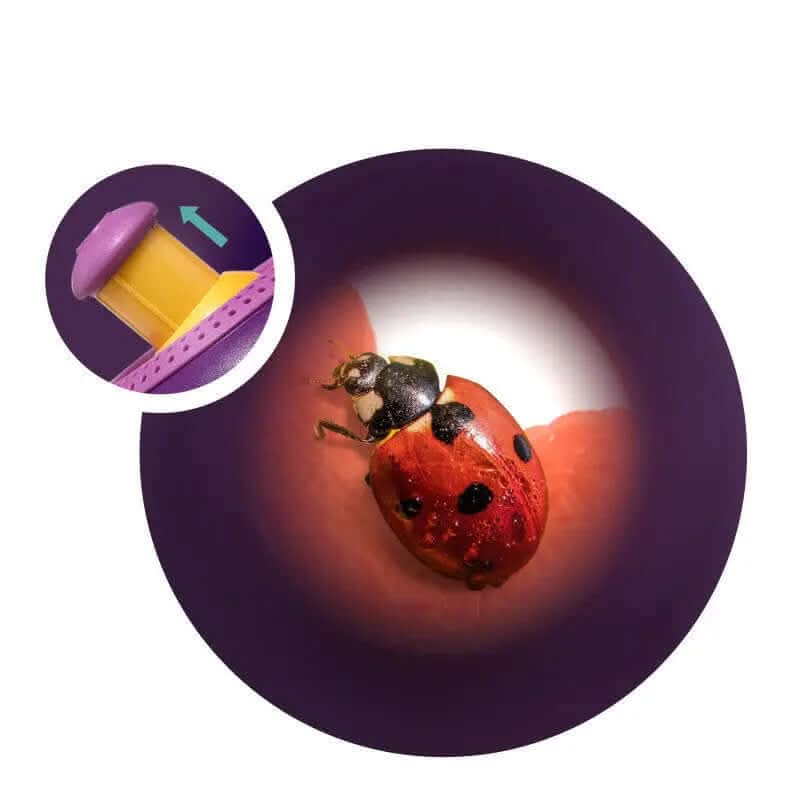 kit d'exploration scientifique Les Visionnaires