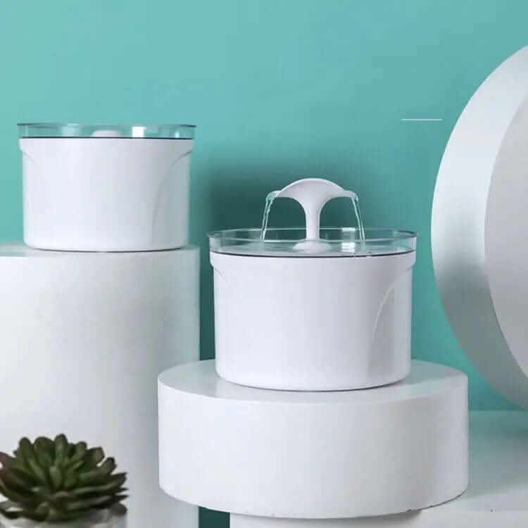 Fontaine à eau électrique automatique Les Visionnaires