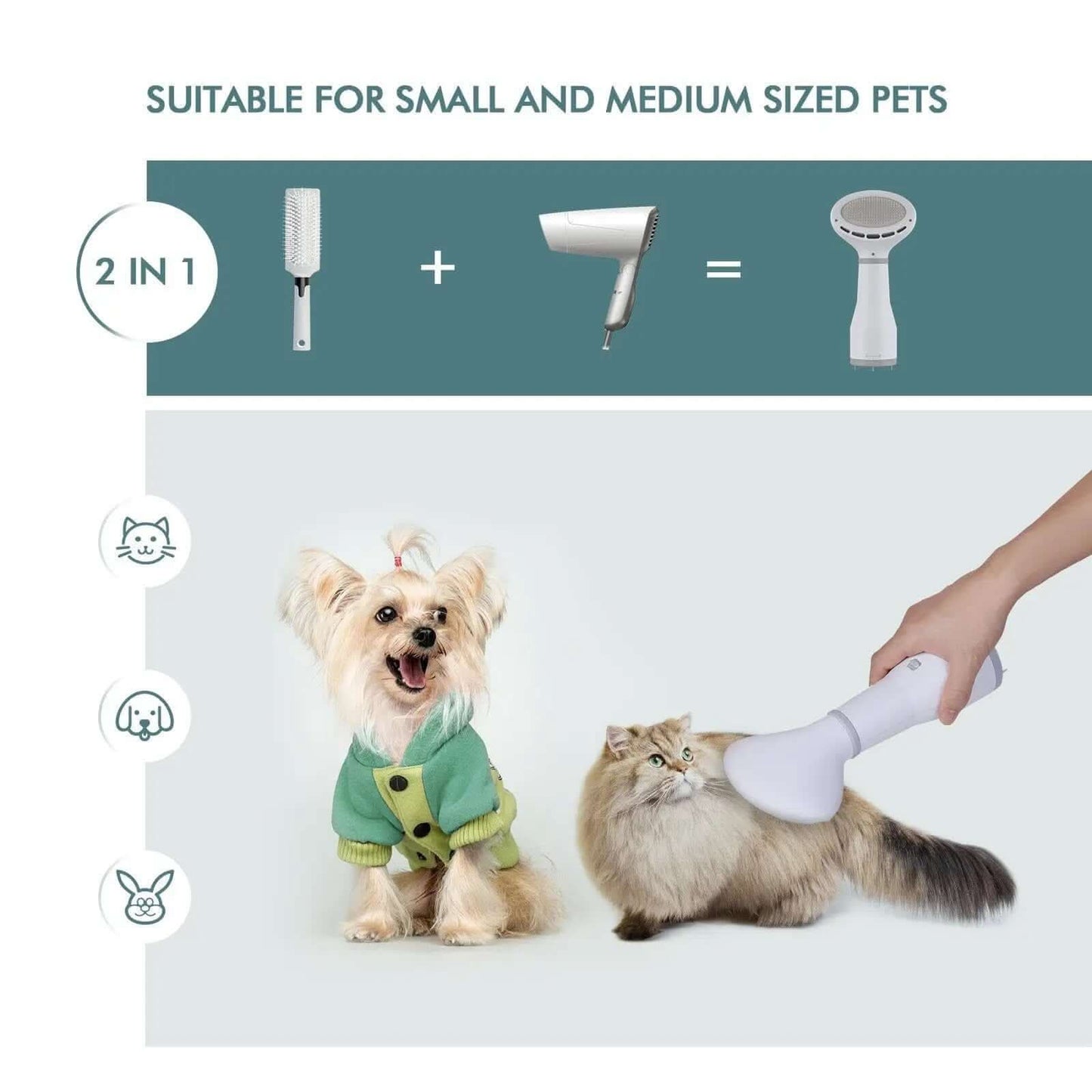 Sèche-cheveux et brosse de toilettage pour chien Dadypet Les Visionnaires