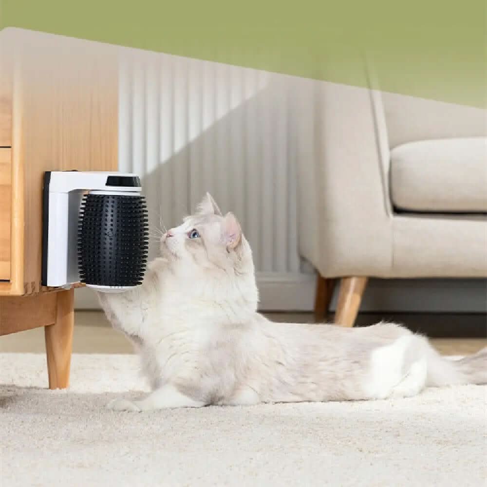 Brosse de toilettage automatique pour chat Les Visionnaires