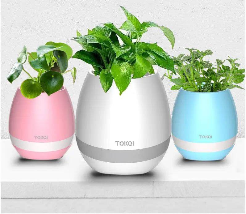 Divers-pour-la-maison-et-autres XLL-Gadgets