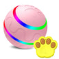 Balle Intelligente Automatique pour Chat