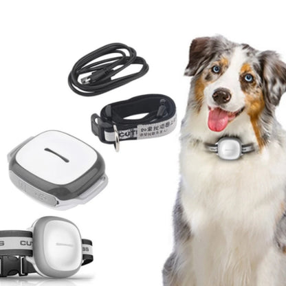 Collier GPS Intelligent pour Animaux