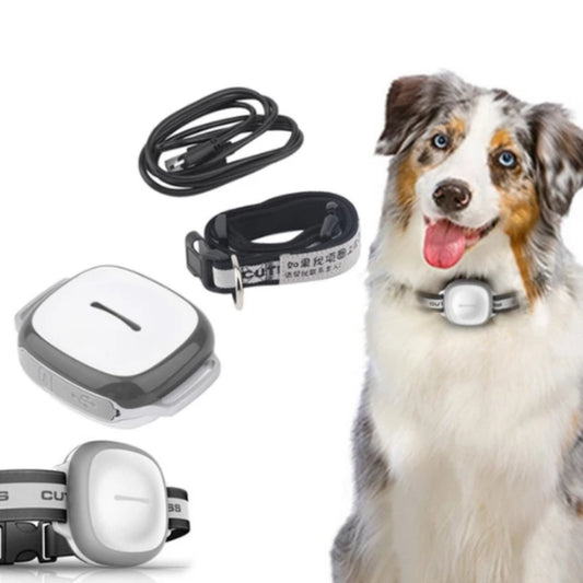 Collier GPS Intelligent pour Animaux