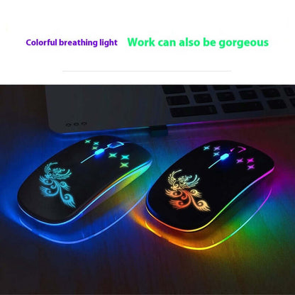 Souris Lumineuse Rechargeable