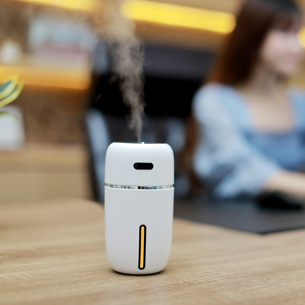 Mini Humidificateur Portable