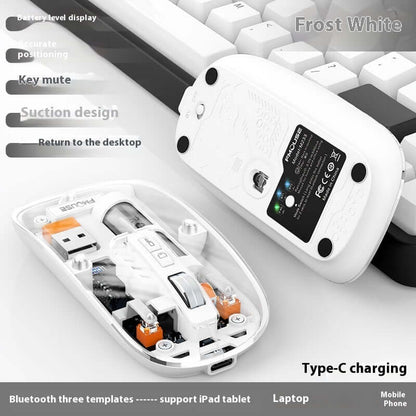 Souris Sans Fil Transparente