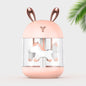 Dream Pony Humidificateur