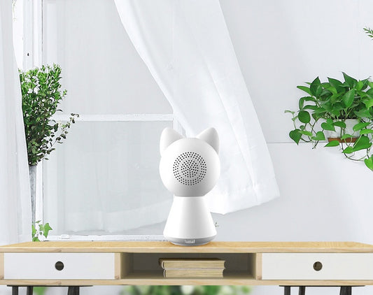 Caméra de Surveillance Sans Fil WiFi