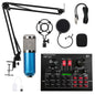Condenser Microphone Set for Recording